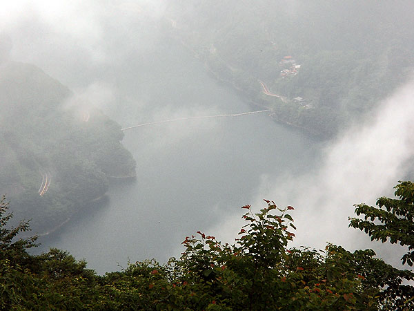 ズームインして撮影